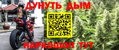 гидра Тулун