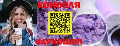гидра Тулун