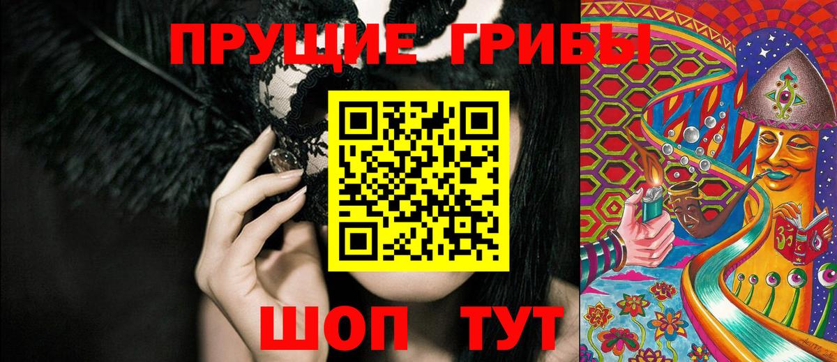 Галлюциногенные грибы Psilocybine cubensis Уварово